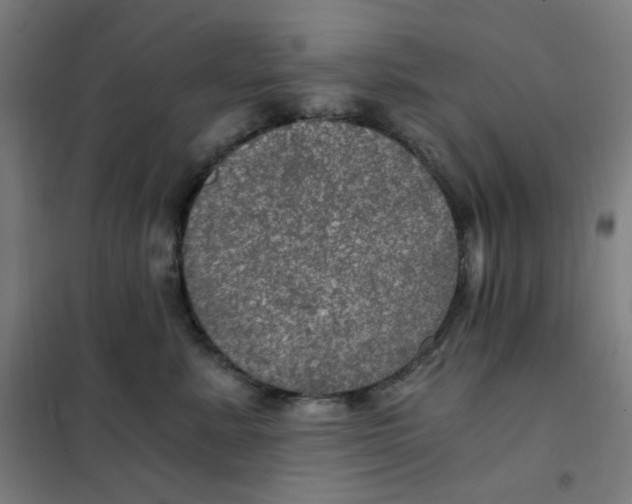X0000101440619200808041216