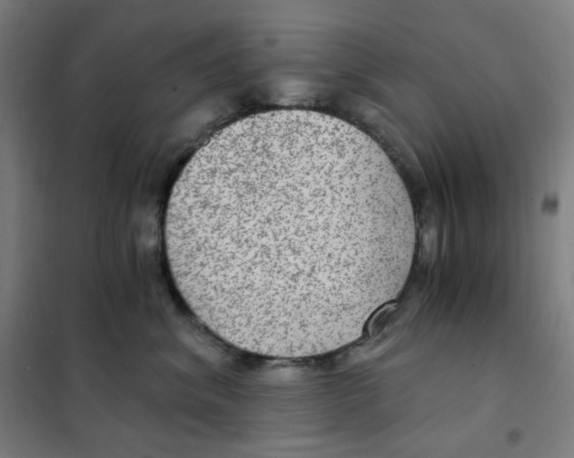 X0000101440620200808041216