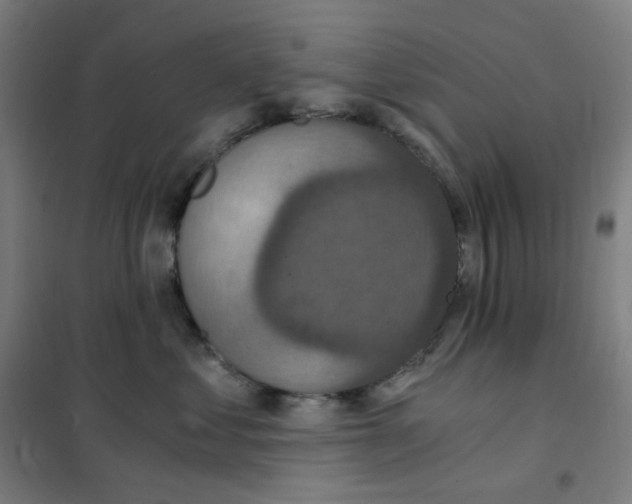 X0000101440621200808041216