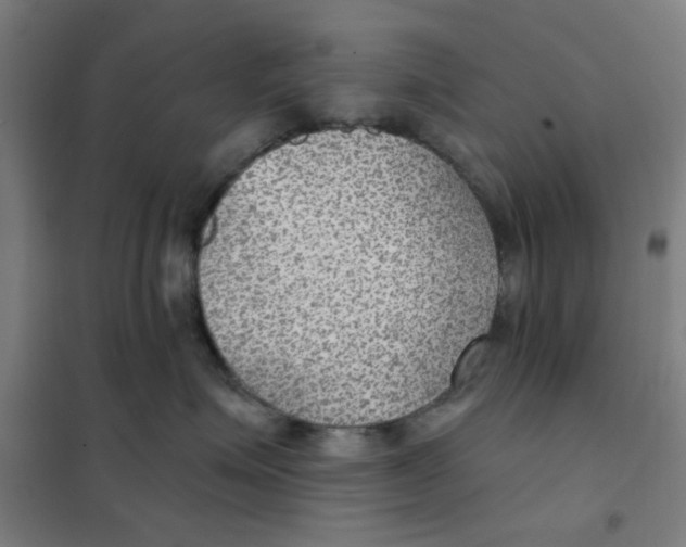 X0000101440623200808041216