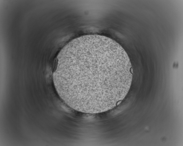 X0000101440624200808041216