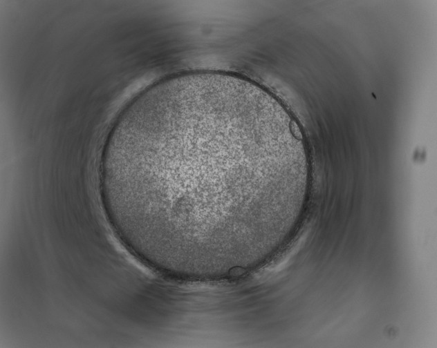X0000101440625200808041215