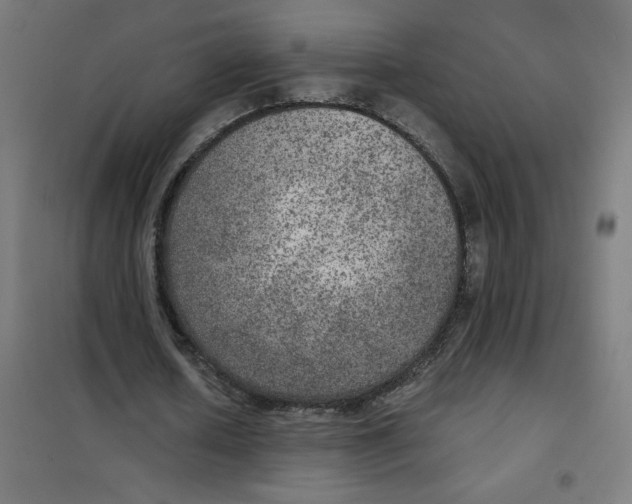 X0000101440626200808041215