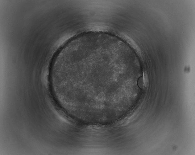 X0000101440627200808041215