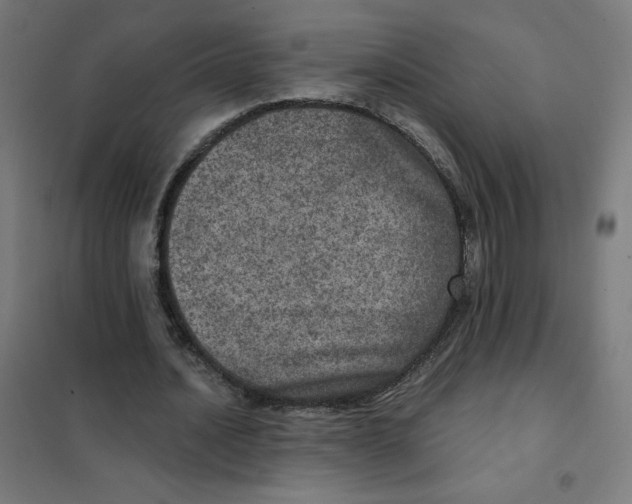 X0000101440628200808041215