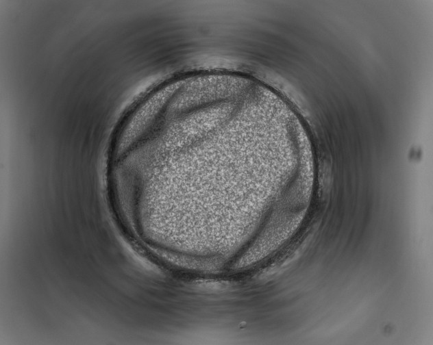 X0000101440629200808041215