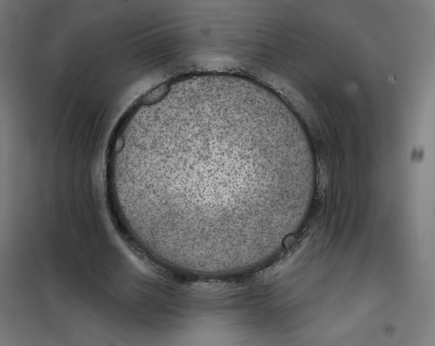 X0000101440630200808041215
