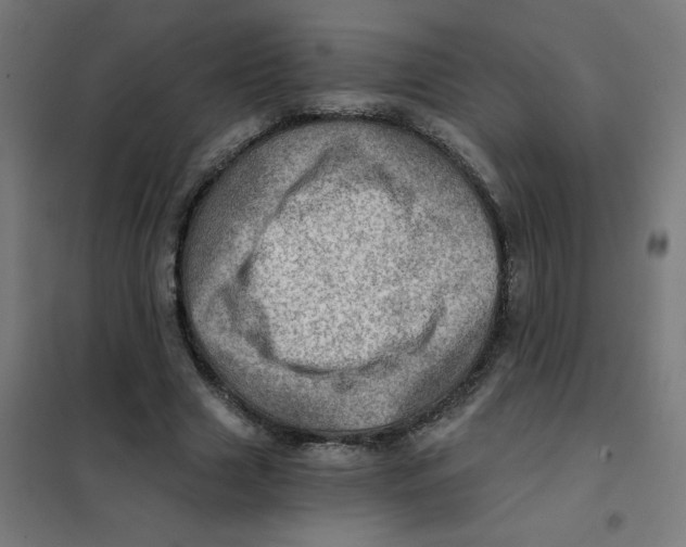 X0000101440633200808041215