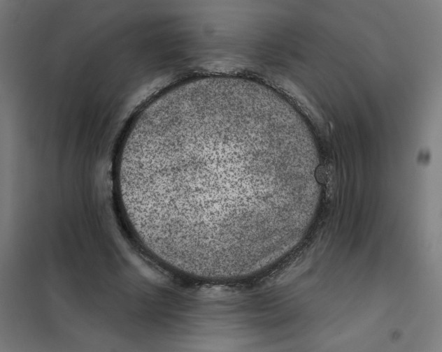X0000101440634200808041215