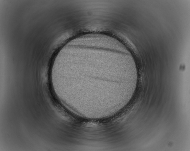 X0000101440635200808041215