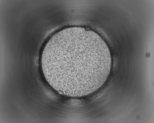 X0000101440636200808041215