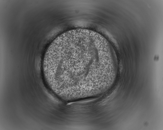 X0000101440637200808041215