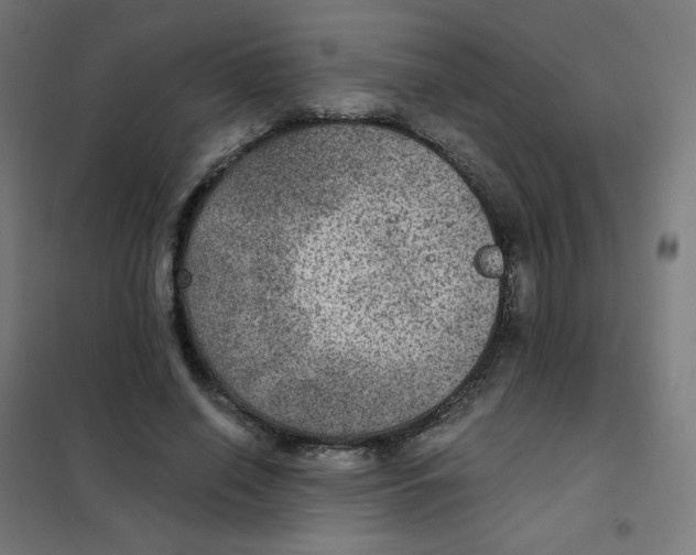 X0000101440638200808041216