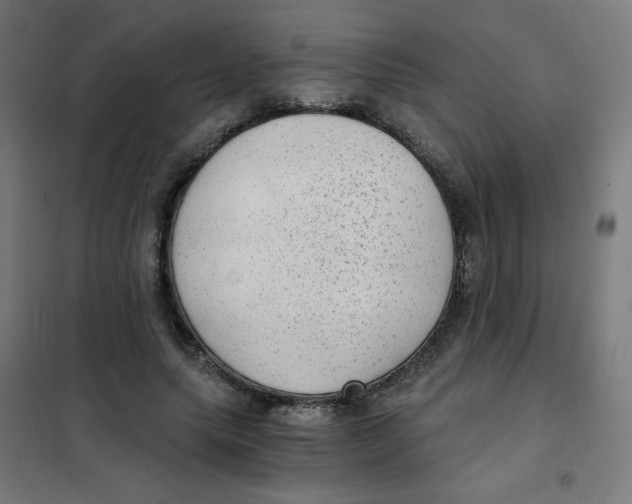 X0000101440639200808041216