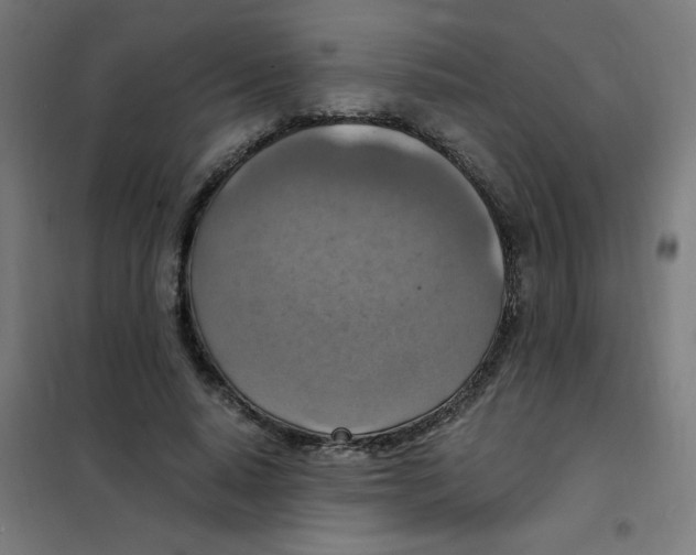 X0000101440640200808041216