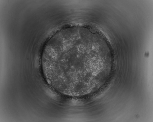 X0000101440641200808041216