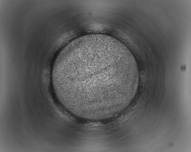X0000101440642200808041216