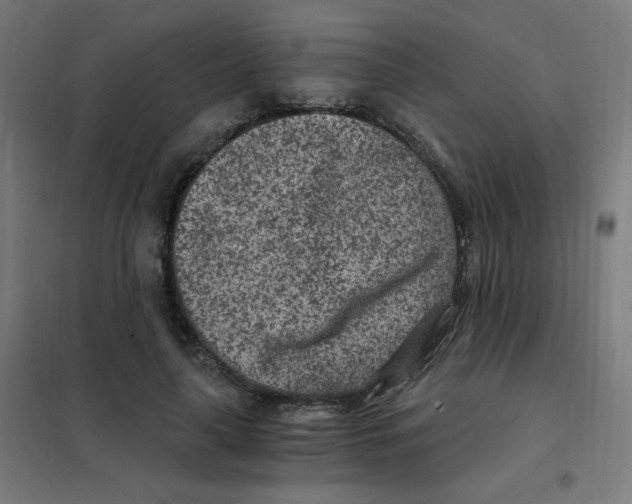 X0000101440643200808041216