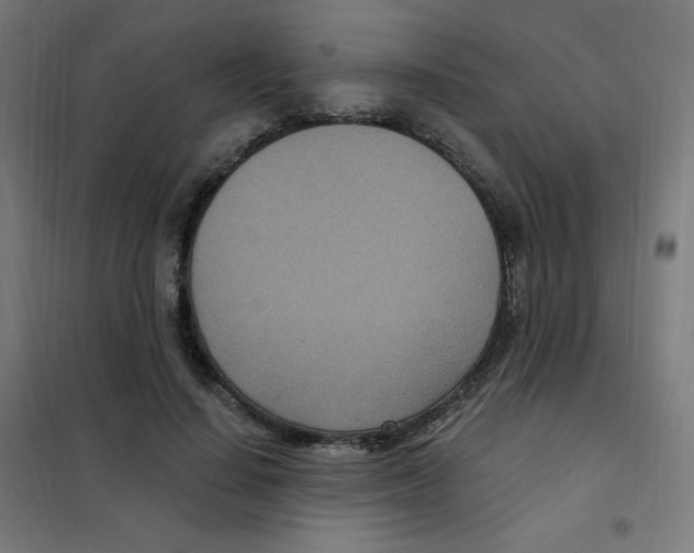 X0000101440644200808041216