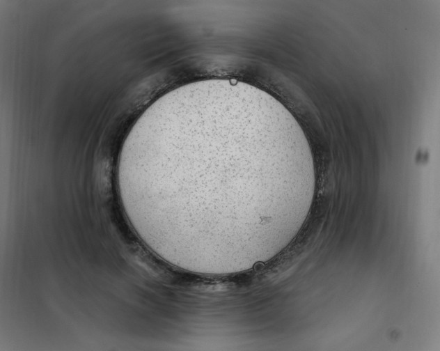 X0000101440646200808041216