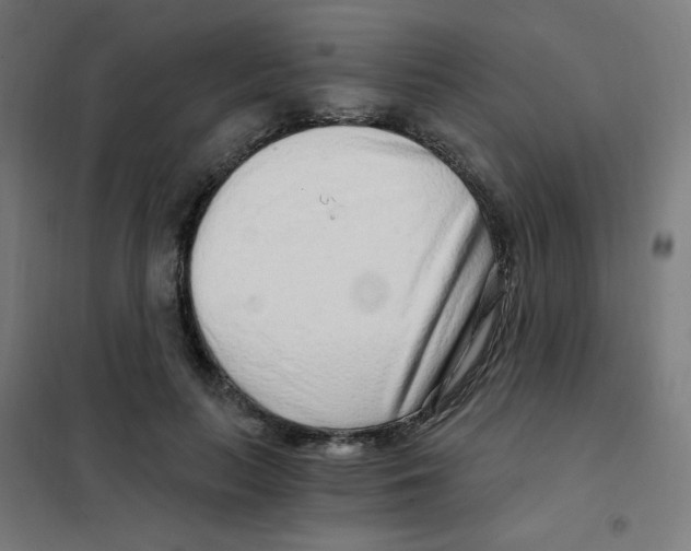 X0000101440647200808041216