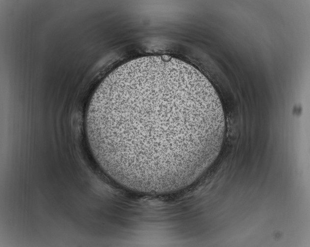 X0000101440648200808041216