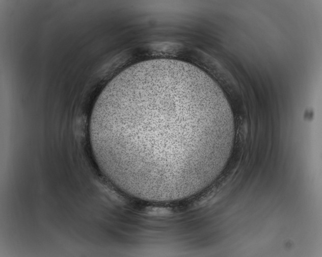 X0000101440649200808041216