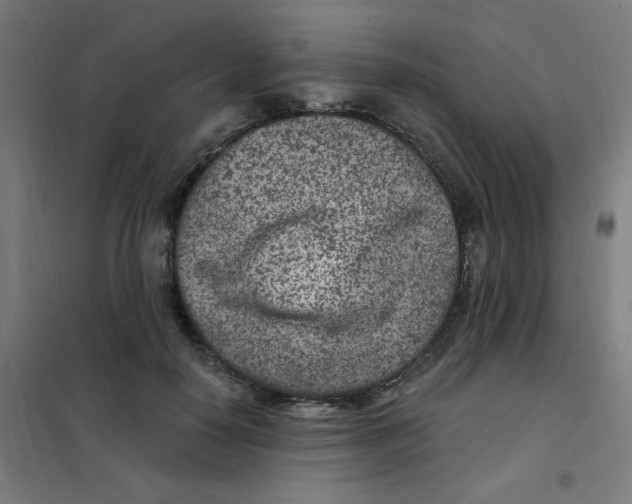 X0000101440650200808041216