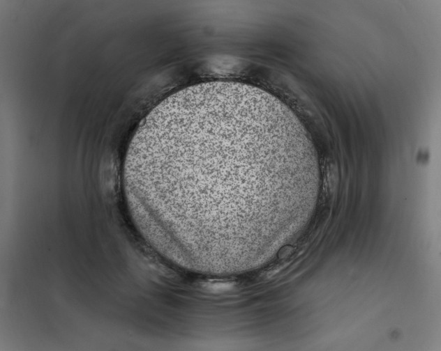 X0000101440651200808041216