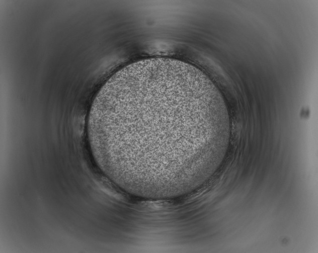 X0000101440652200808041216
