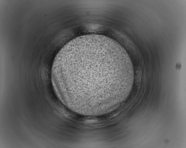 X0000101440653200808041216