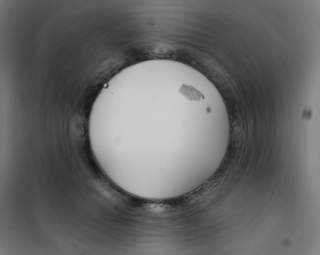 X0000101440654200808041216