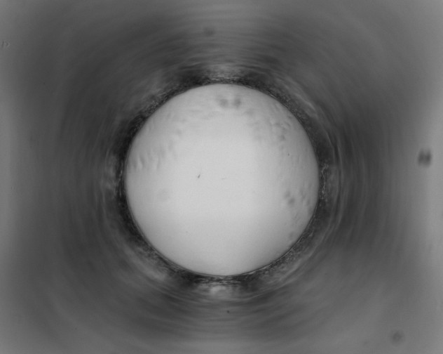 X0000101440655200808041216