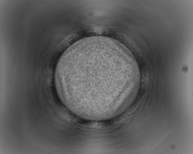 X0000101440656200808041216