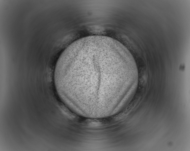 X0000101440658200808041216