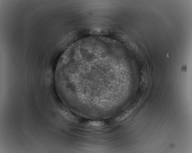 X0000101440659200808041216