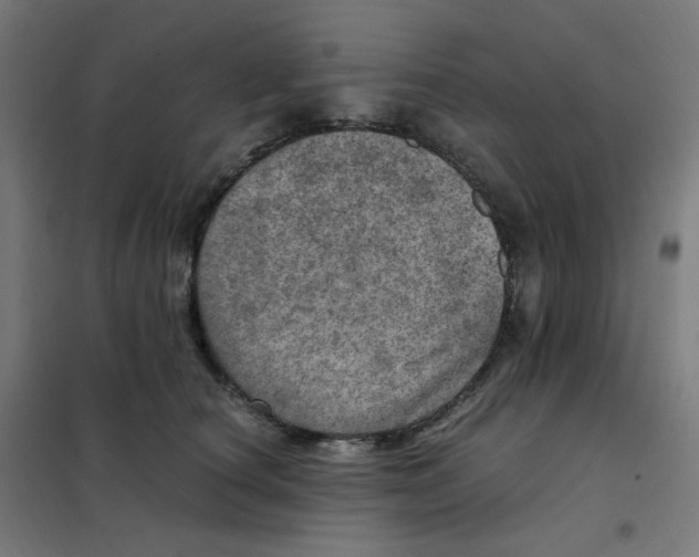 X0000101440660200808041216