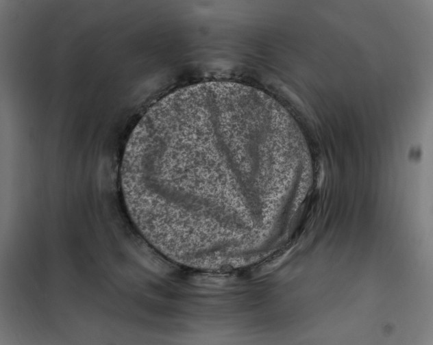 X0000101440661200808041216