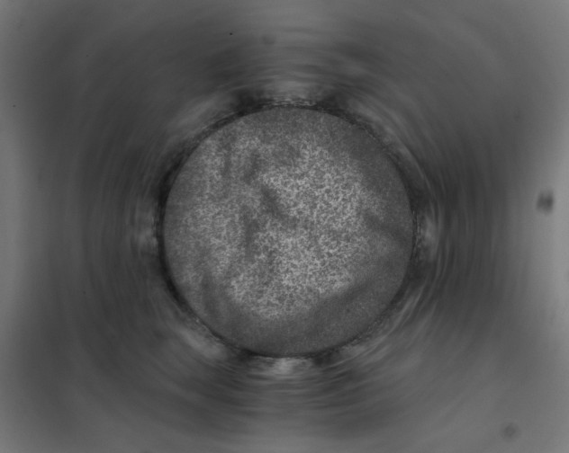 X0000101440663200808041216