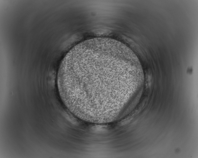 X0000101440664200808041216
