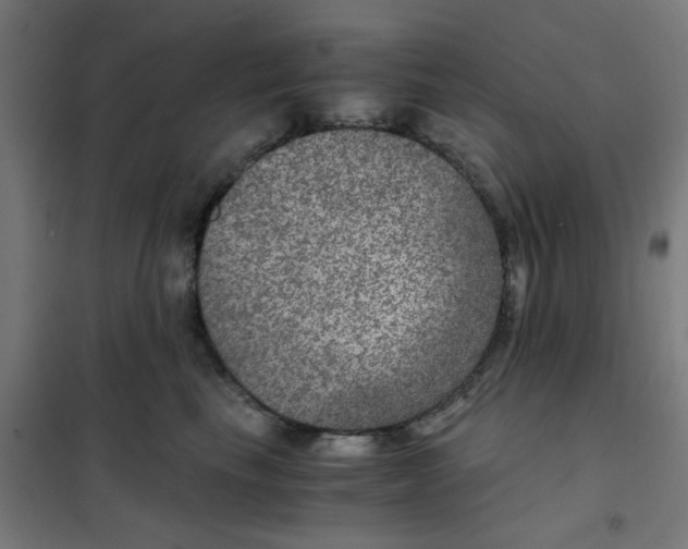 X0000101440665200808041216
