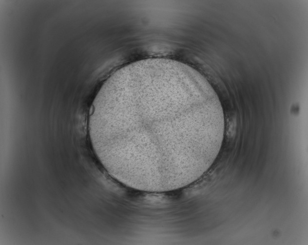 X0000101440666200808041216