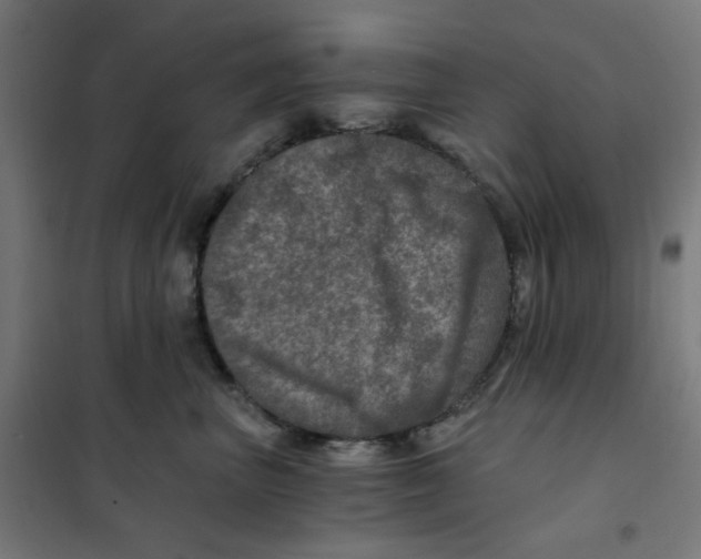 X0000101440667200808041216