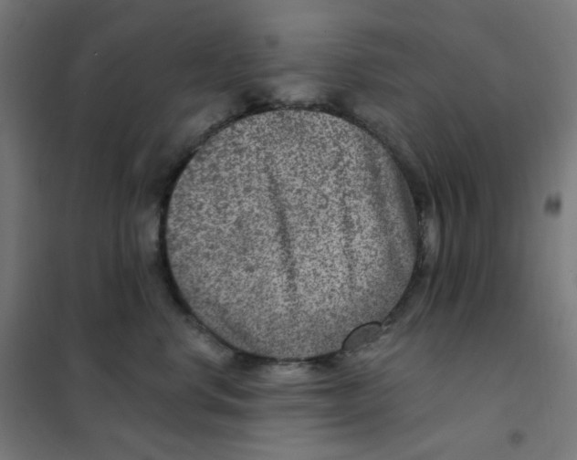 X0000101440668200808041216