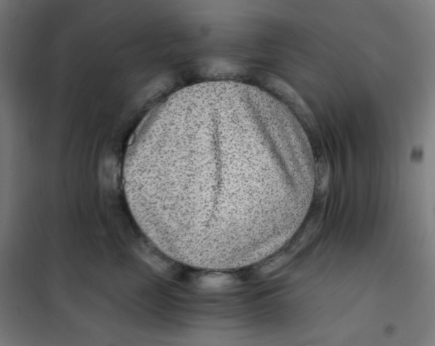 X0000101440669200808041216