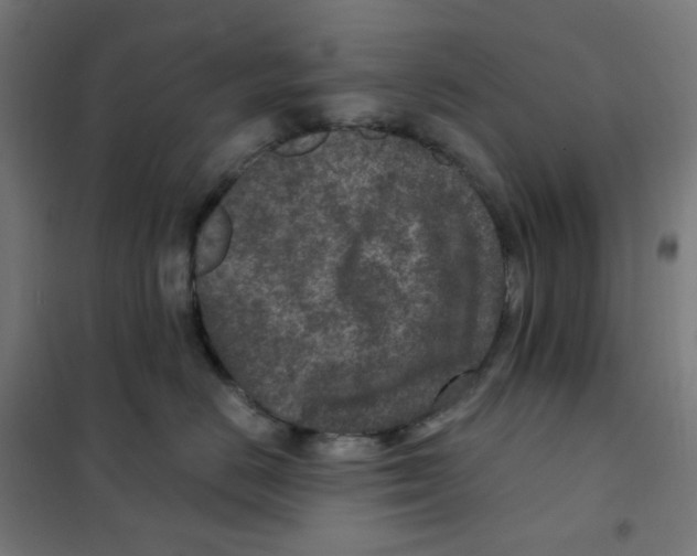 X0000101440670200808041216
