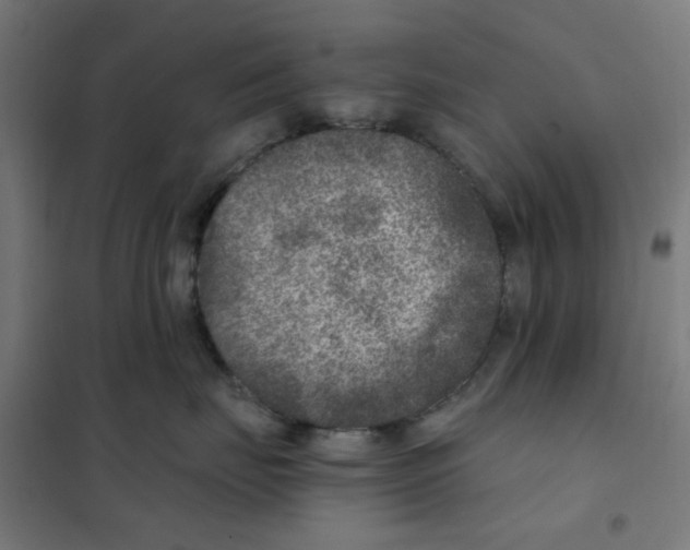 X0000101440671200808041216