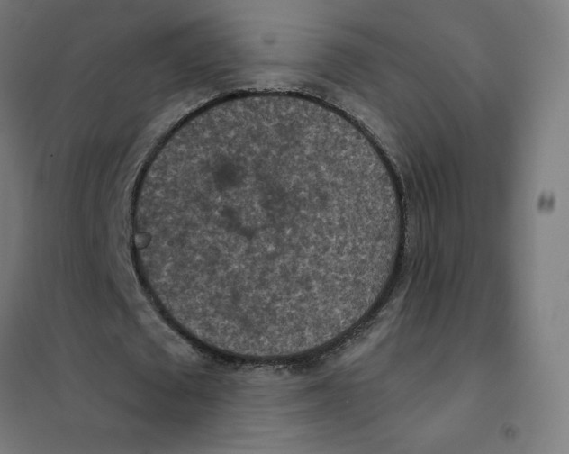 X0000101440673200808041215