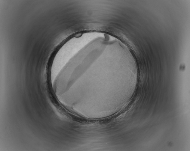 X0000101440674200808041215