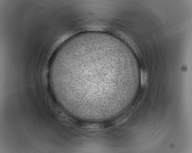 X0000101440675200808041215